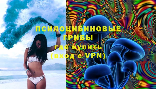 шишки Балабаново