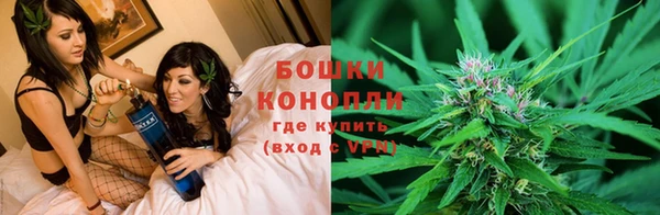 спайс Баксан